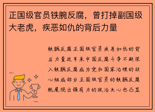 正国级官员铁腕反腐，曾打掉副国级大老虎，疾恶如仇的背后力量