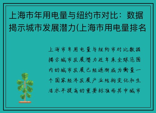 上海市年用电量与纽约市对比：数据揭示城市发展潜力(上海市用电量排名)